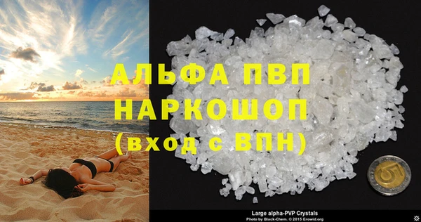индика Пестово